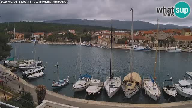Camera Vrboska | Isla de Hvar | Croacia