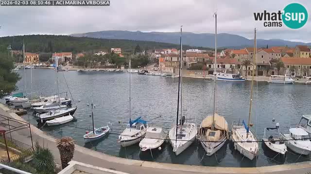 Vrboska web kamera | otom Hvar | Dalmacija