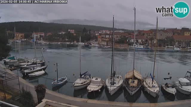 Vrboska Île de Hvar | Croatie