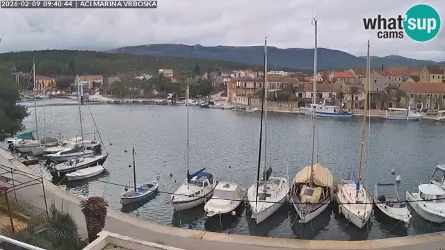 Vrboska livecam | Isola di Hvar | Croazia