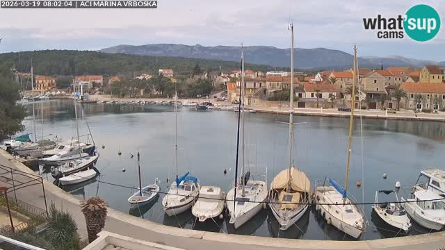 Camera Vrboska | Isla de Hvar | Croacia