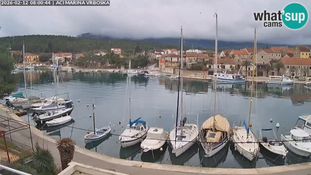 Vrboska Île de Hvar | Croatie