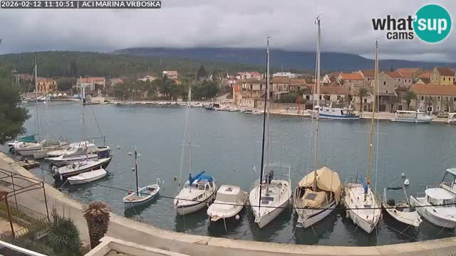Vrboska Île de Hvar | Croatie