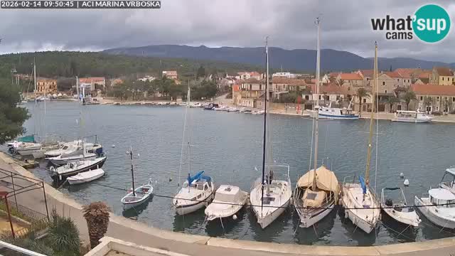 Vrboska Île de Hvar | Croatie