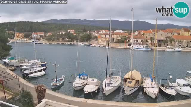 Vrboska Île de Hvar | Croatie