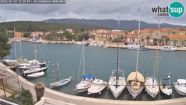 Vrboska web kamera | otom Hvar | Dalmacija