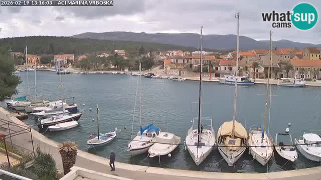 Vrboska Île de Hvar | Croatie