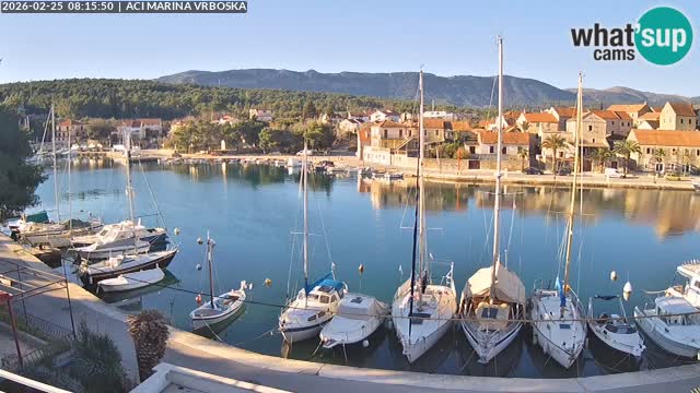 Vrboska livecam | Isola di Hvar | Croazia