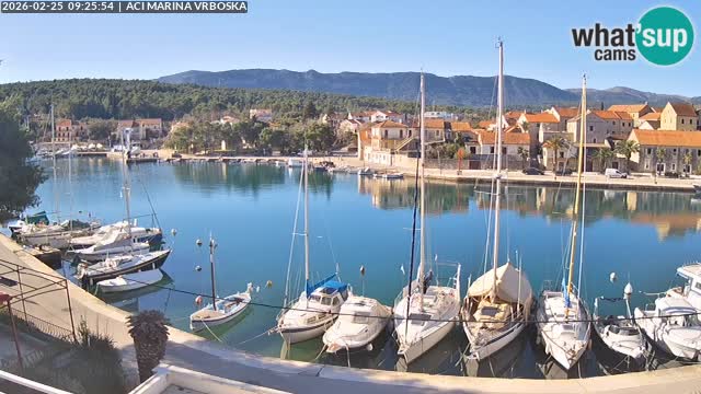 Camera Vrboska | Isla de Hvar | Croacia