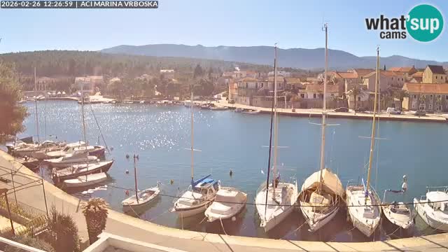 Spletna kamera Vrboska | Otok Hvar | Hrvaška