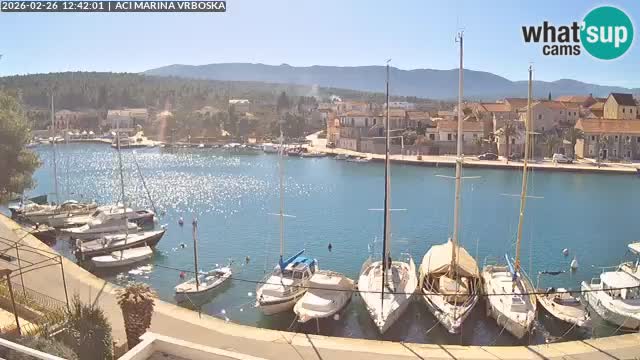 Vrboska web kamera | otom Hvar | Dalmacija
