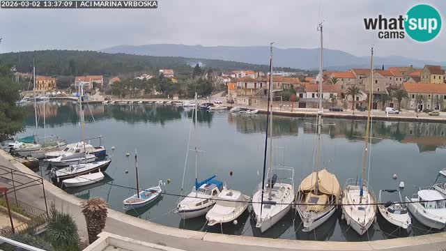 Vrboska Île de Hvar | Croatie