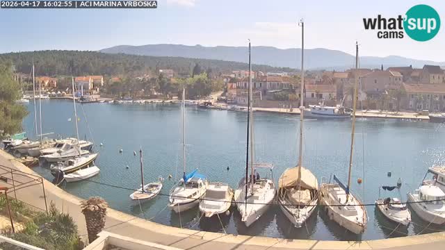 Vrboska livecam | Isola di Hvar | Croazia