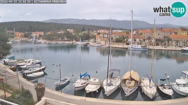 Spletna kamera Vrboska | Otok Hvar | Hrvaška
