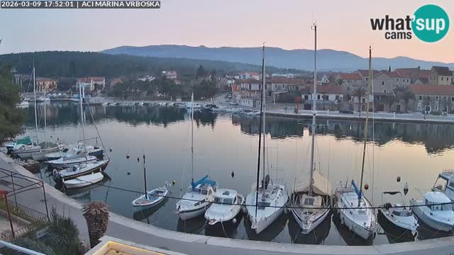 Vrboska Île de Hvar | Croatie