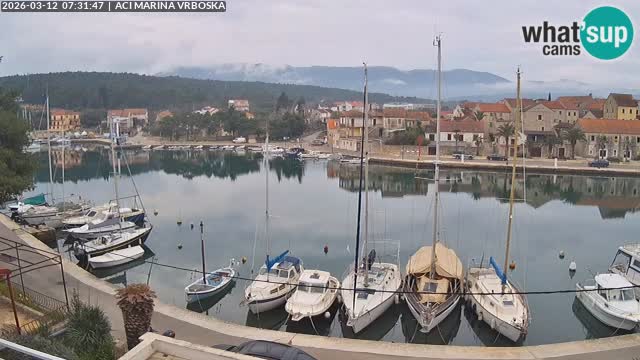 Vrboska Île de Hvar | Croatie