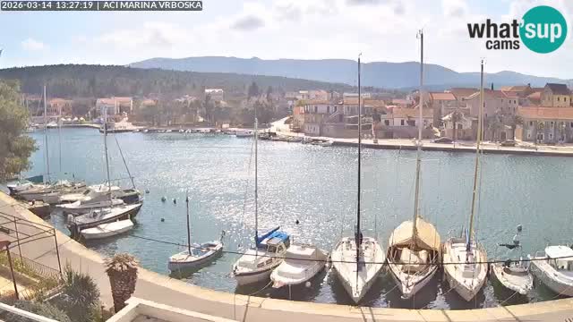 Vrboska Île de Hvar | Croatie