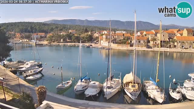 Camera Vrboska | Isla de Hvar | Croacia