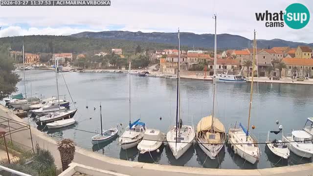 Vrboska Île de Hvar | Croatie