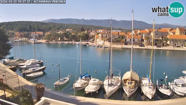 Vrboska webcam | Hvar Insel | Kroatien