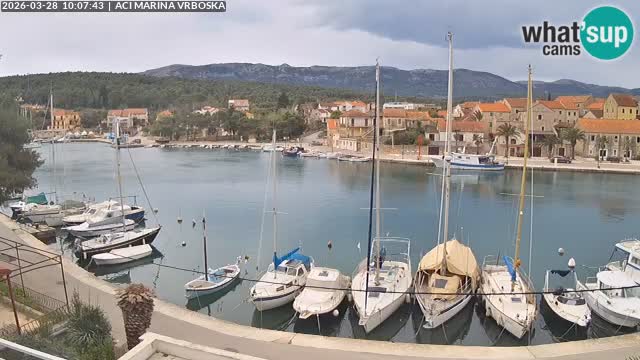 Vrboska Île de Hvar | Croatie