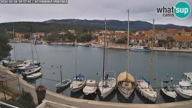 Vrboska livecam | Isola di Hvar | Croazia