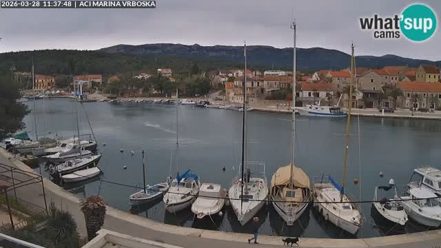 Vrboska Île de Hvar | Croatie