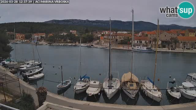 Vrboska web kamera | otom Hvar | Dalmacija