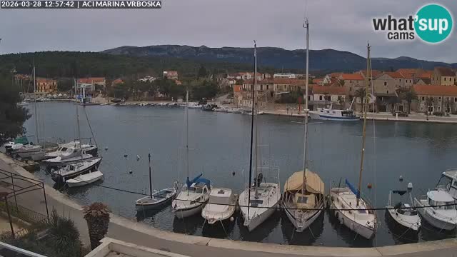 Vrboska livecam | Isola di Hvar | Croazia