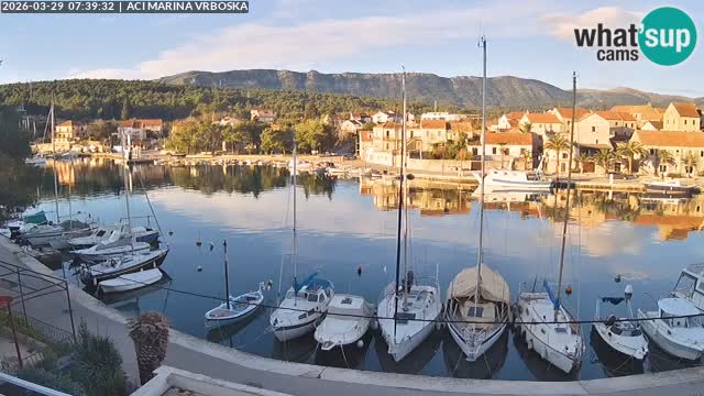 Vrboska Île de Hvar | Croatie