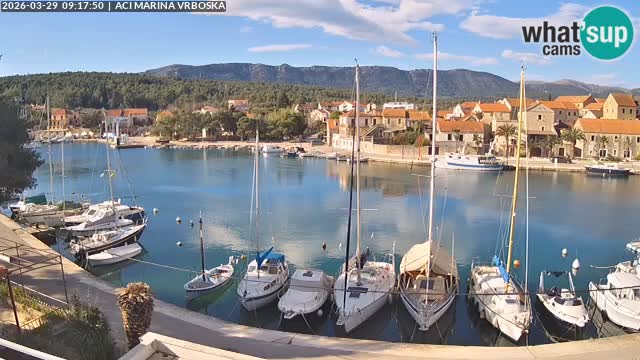 Vrboska Île de Hvar | Croatie
