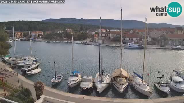 Vrboska Île de Hvar | Croatie