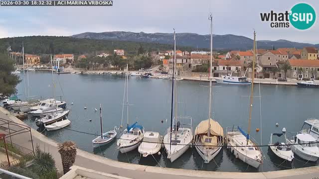 Vrboska livecam | Isola di Hvar | Croazia