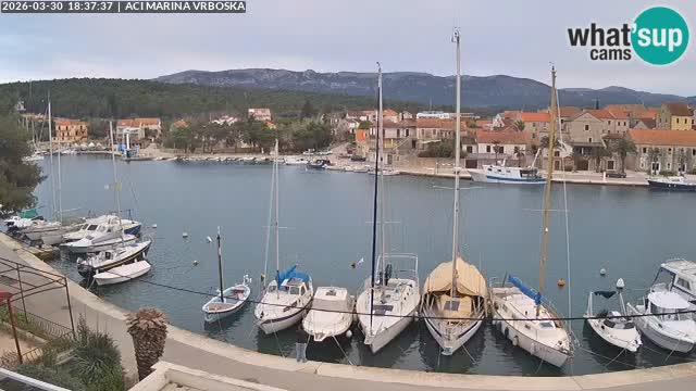 Spletna kamera Vrboska | Otok Hvar | Hrvaška