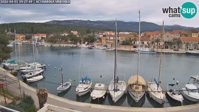 Vrboska livecam | Isola di Hvar | Croazia