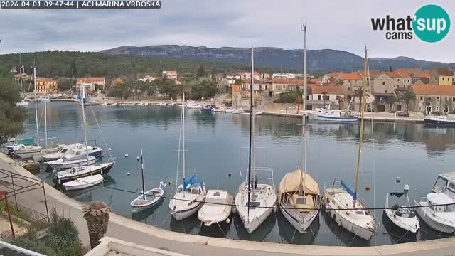 Vrboska webcam | Hvar Insel | Kroatien
