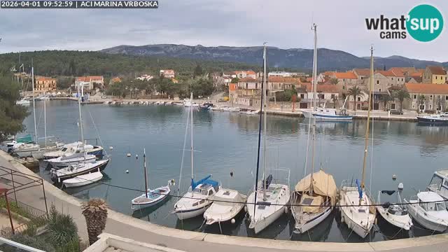 Camera Vrboska | Isla de Hvar | Croacia
