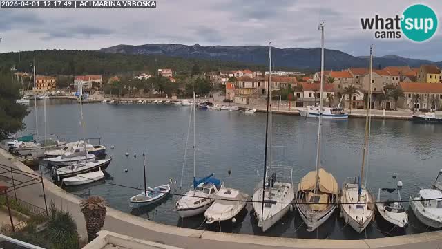 Camera Vrboska | Isla de Hvar | Croacia
