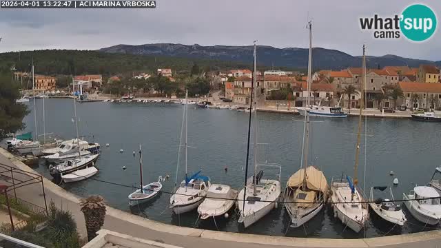 Vrboska Île de Hvar | Croatie