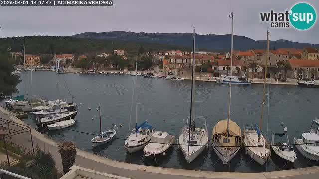 Vrboska livecam | Isola di Hvar | Croazia