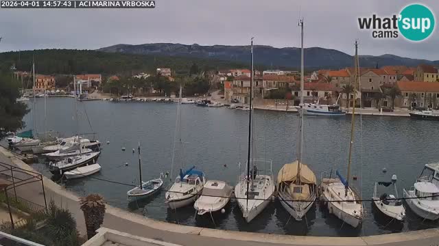 Camera Vrboska | Isla de Hvar | Croacia