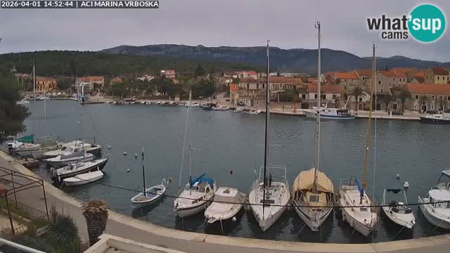 Camera Vrboska | Isla de Hvar | Croacia