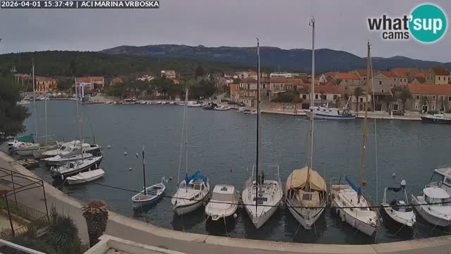 Vrboska Île de Hvar | Croatie