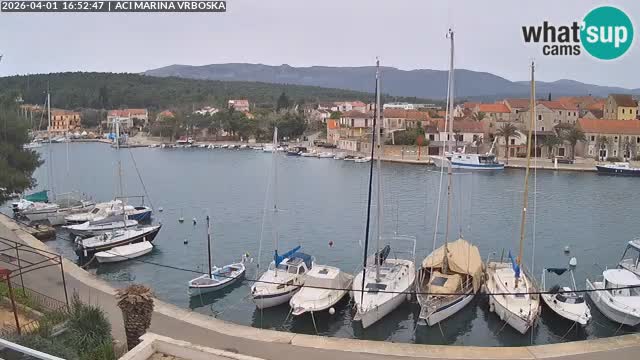 Camera Vrboska | Isla de Hvar | Croacia