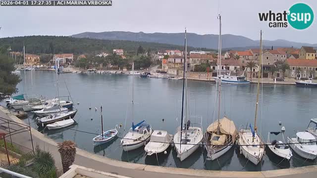 Vrboska Île de Hvar | Croatie