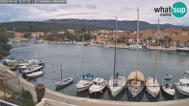 Vrboska Île de Hvar | Croatie