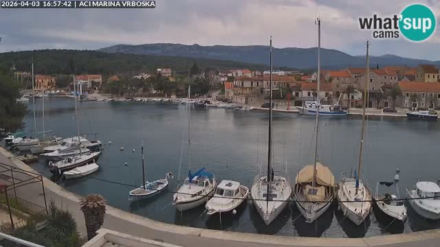 Vrboska web kamera | otom Hvar | Dalmacija