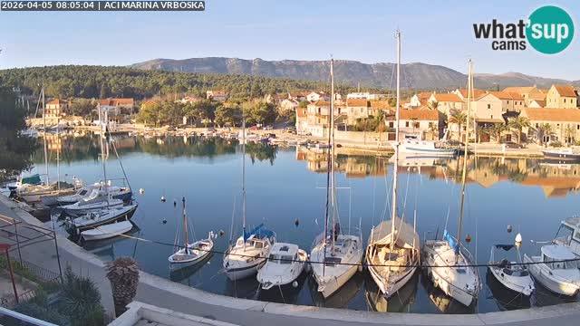 Vrboska livecam | Isola di Hvar | Croazia