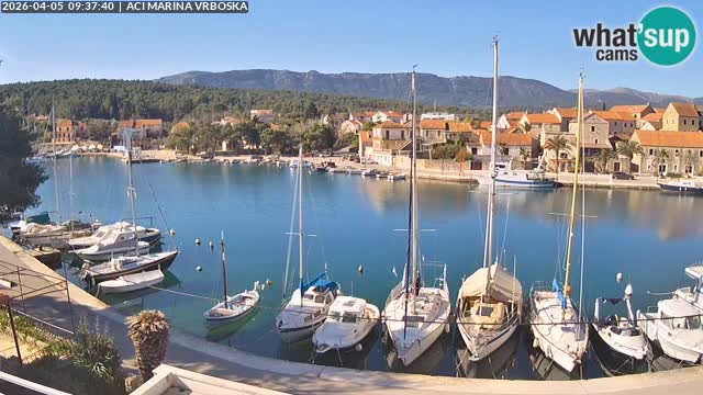 Vrboska webcam | Hvar Insel | Kroatien
