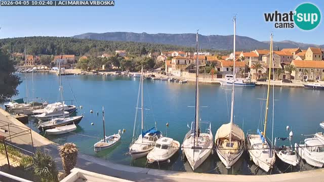 Vrboska Île de Hvar | Croatie